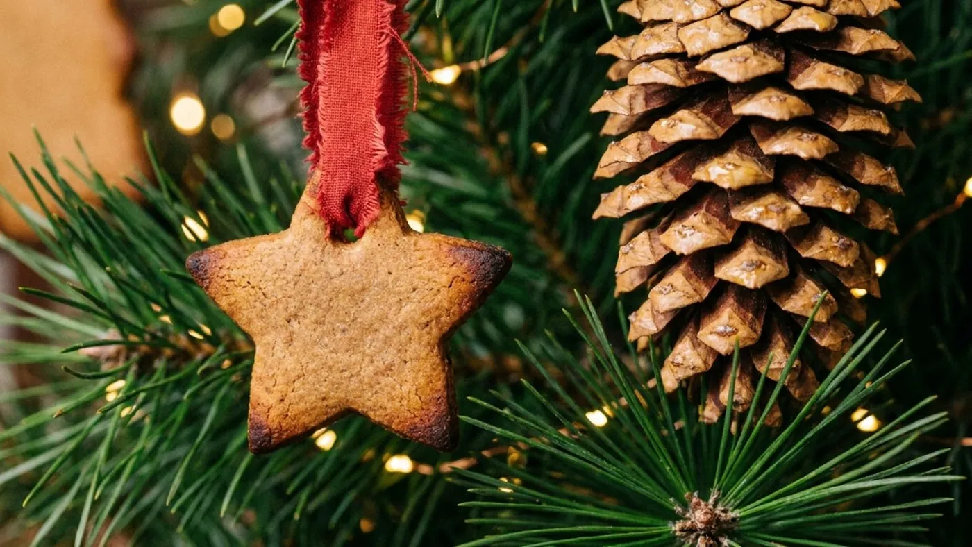 Baked spiced gingerbread star ornament with frayed red cotton ribbon hanging next to a natural pinecone on green pine needles