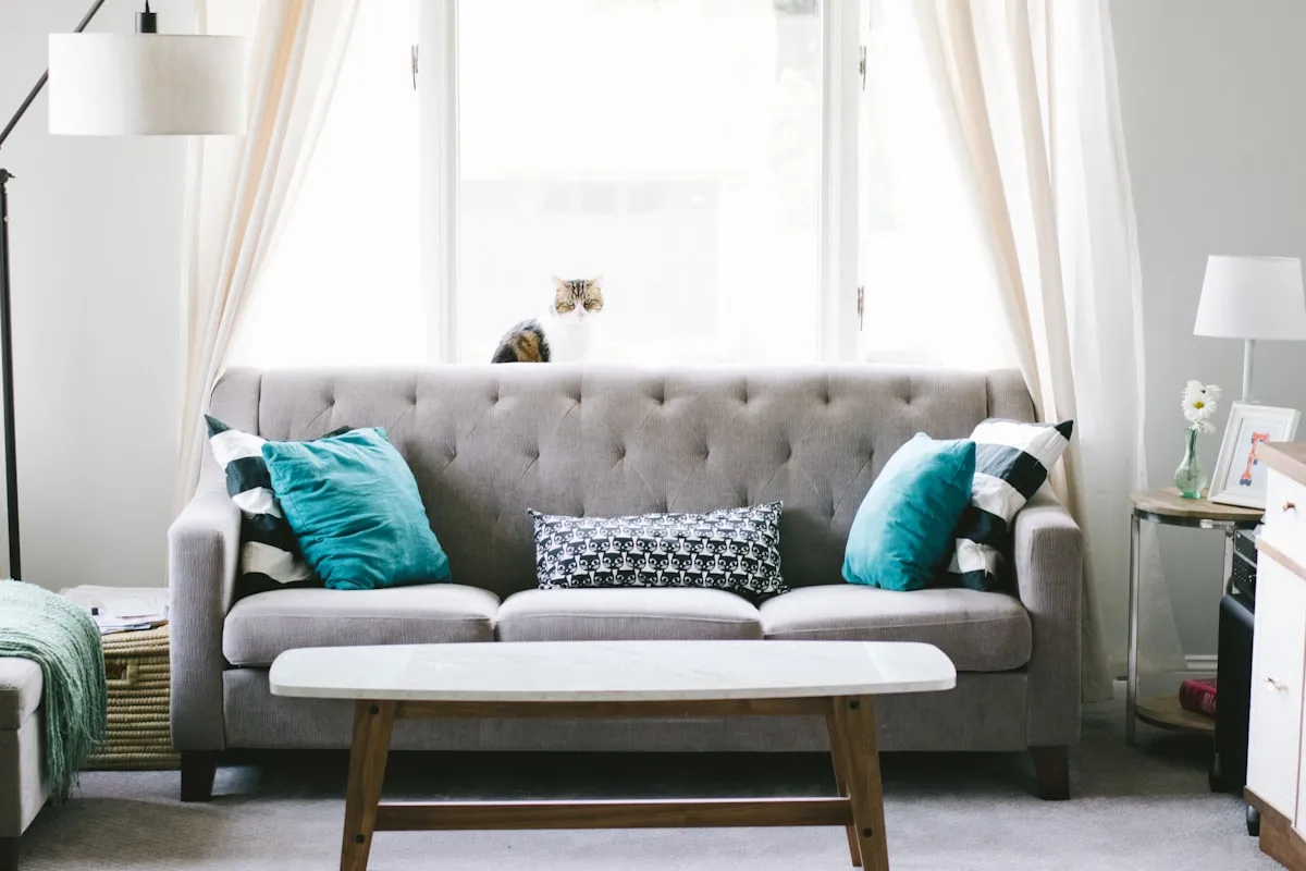 Bright sunlit living room showing comfortable spacing between sofa seating and low coffee table