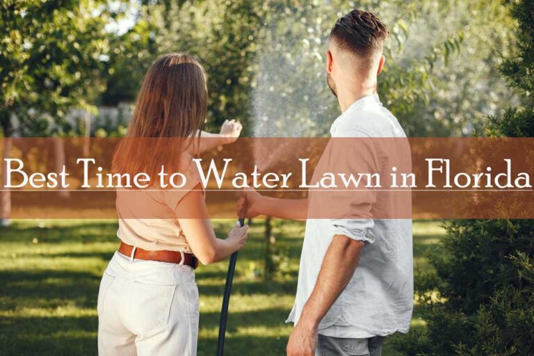 best-time-to-water-lawn-in-Florida
