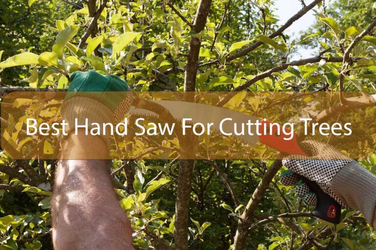 Best-Hand-Saw-For-Cutting-Trees
