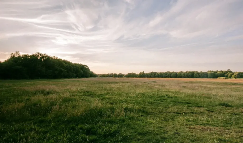 Strategies for Starting a Commercial Farm