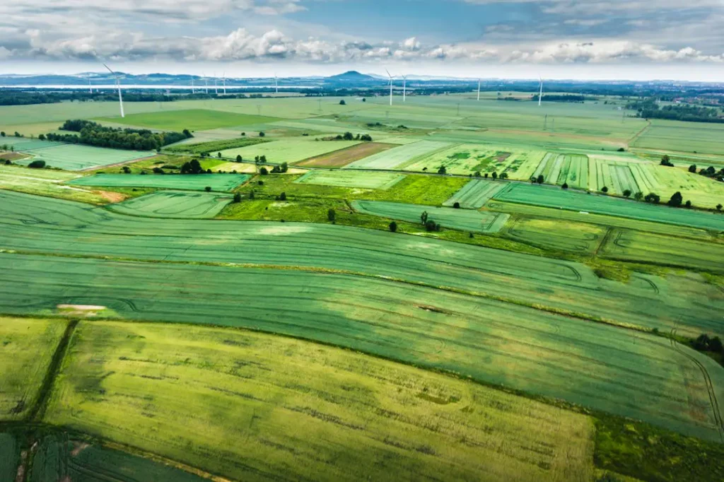Strategies for Starting a Commercial Farm