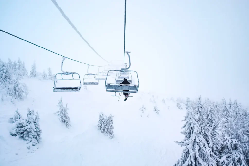 Winter Wonderland