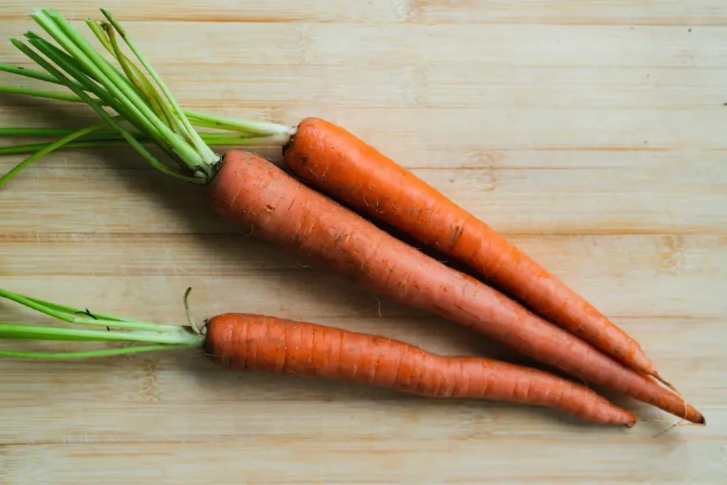 Debunking Common Dog Food Myths